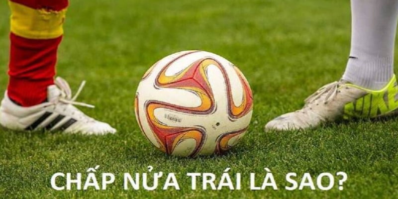 New88 sẽ hướng dẫn các bet thủ cách đọc và tính kèo chấp 1/2