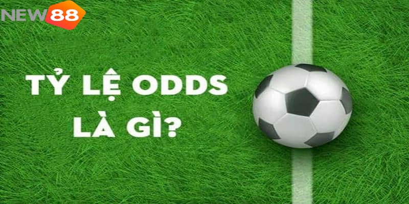 Odds là gì Odds là gì?