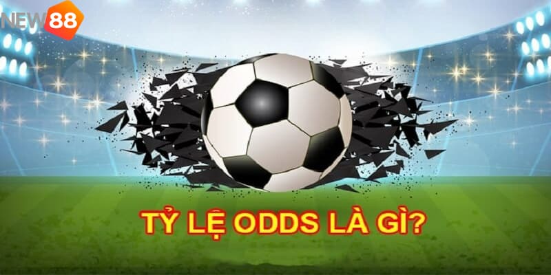Odds là gì Khám phá các loại cá cược trong Odds là gì?