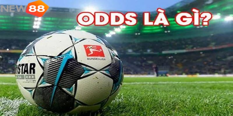 Odds là gì Odds là gì