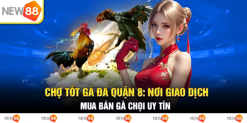 Chợ tốt gà đá quận 8: nơi giao dịch, mua bán gà chọi uy tín