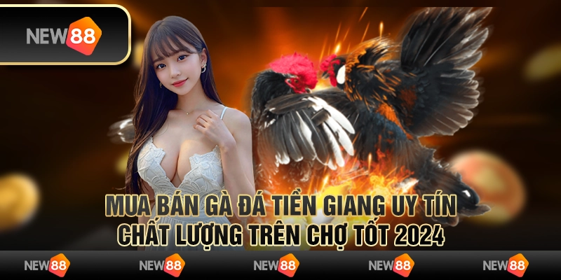 Mua bán gà đá Tiền Giang uy tín, chất lượng trên Chợ Tốt 2024
