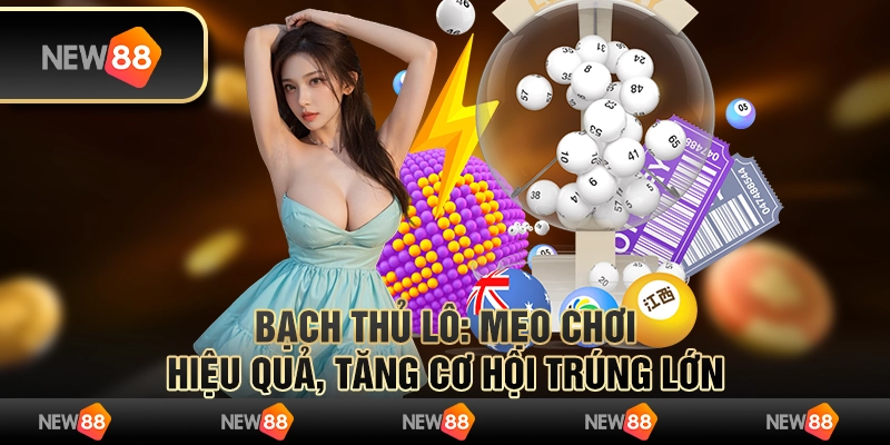 Bạch thủ lô: Mẹo chơi hiệu quả, tăng cơ hội trúng lớn