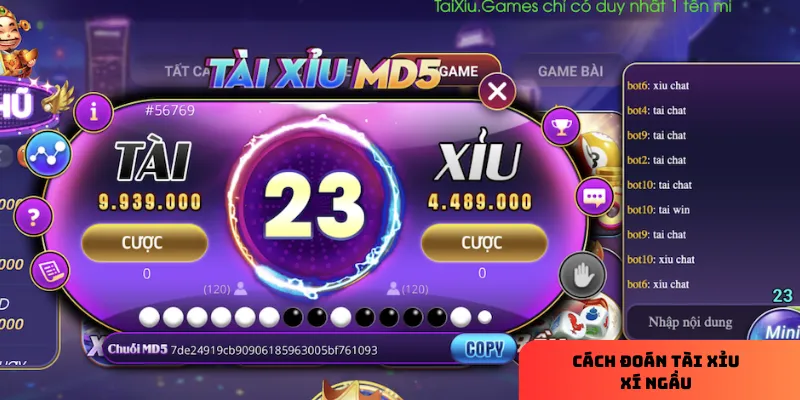 Hướng dẫn cách đoán tài xỉu xí ngầu hiệu quả