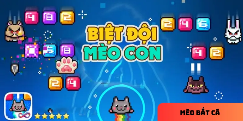 Tập trung bắt cá giá trị cao.