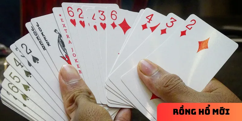 Quan sát lịch sử ván chơi và quản lý vốn là chiến thuật hiệu quả khi chơi rồng hổ.