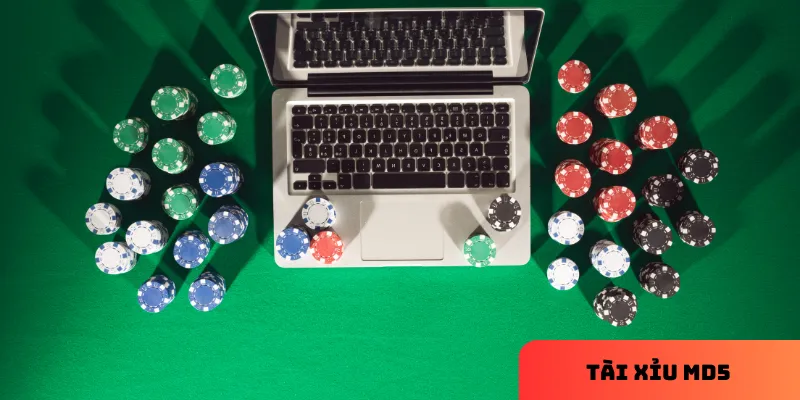 Tính minh bạch làm tăng sự hấp dẫn của trò chơi.