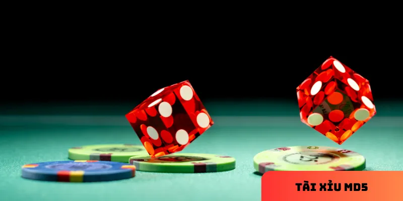 Kiểm tra mã MD5 giúp tăng sự minh bạch.