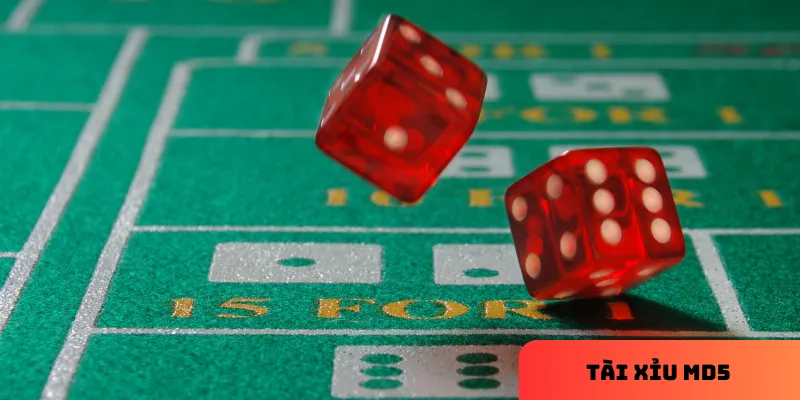 Giao diện thân thiện tạo sự thoải mái.