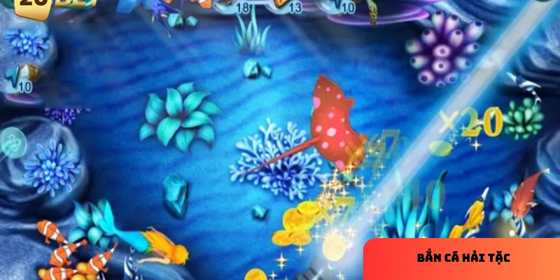 Trải nghiệm đại dương và kho báu kỳ thú