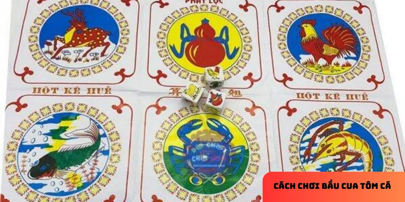 Chia nhỏ vốn và đặt cược hợp lý