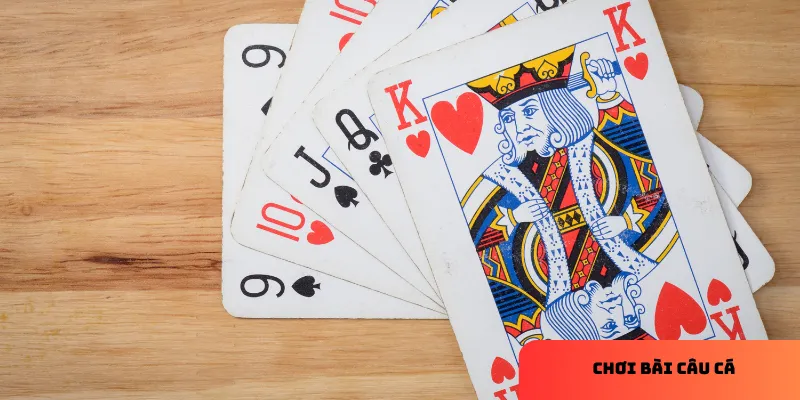 Hướng dẫn chơi bài câu cá cơ bản