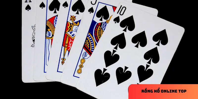 Sơ lược về Rồng hổ online top