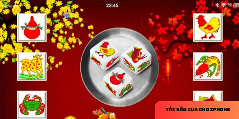 Giao diện tối ưu cho người chơi