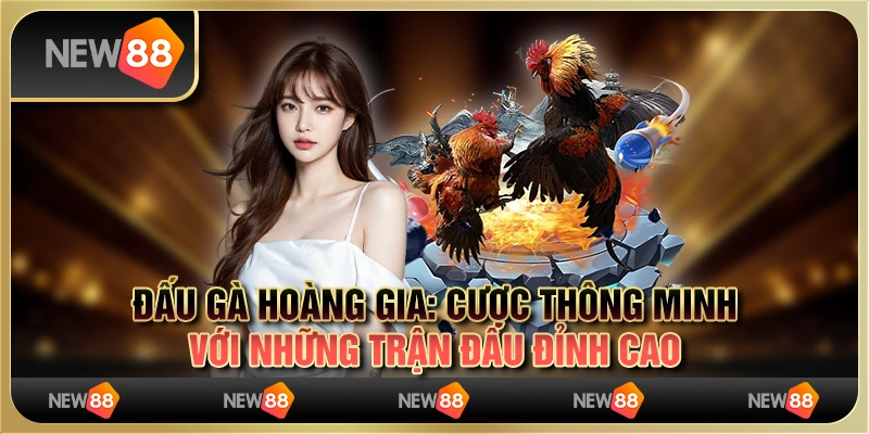 Đấu Gà Hoàng Gia: Cược Thông Minh Với Những Trận Đấu Đỉnh Cao