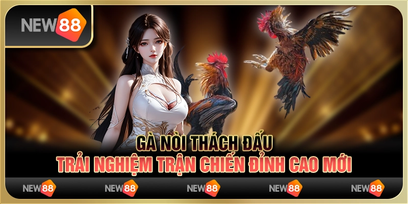 Gà nòi thách đấu – trải nghiệm trận chiến đỉnh cao mới