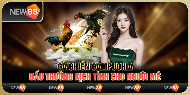Gà Chiến Campuchia – Đấu Trường Kịch Tính Cho Người Mê