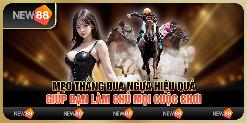 Mẹo thắng đua ngựa hiệu quả giúp bạn làm chủ mọi cuộc chơi