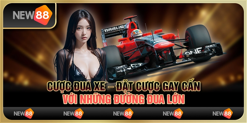 Cược đua xe – đặt cược gay cấn với những đường đua lớn