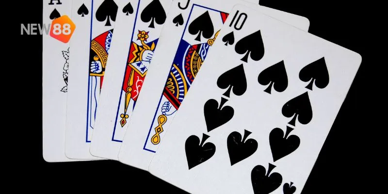 Các biến thể hấp dẫn của domino.