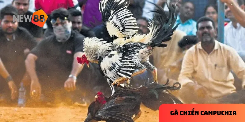 Nền tảng cá cược uy tín mang đến trải nghiệm tuyệt vời