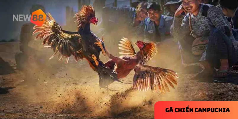 Đấu trường đẳng cấp thu hút người chơi khắp nơi