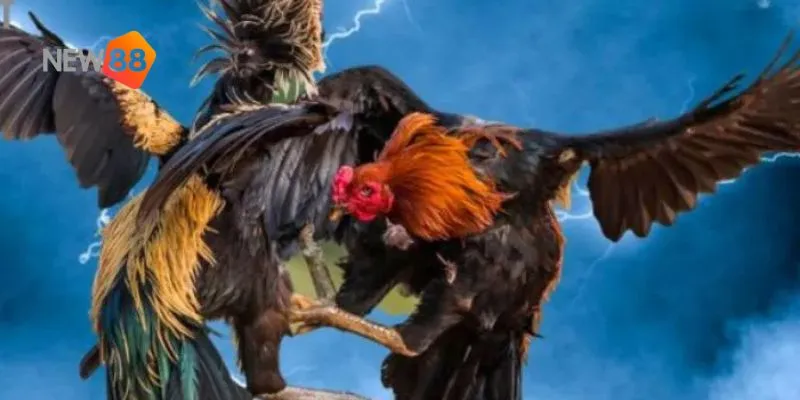 Khám phá các yếu tố làm nên sức hút không thể cưỡng lại của trò chơi này.