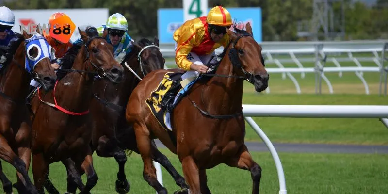 Chiến lược cược đua ngựa.