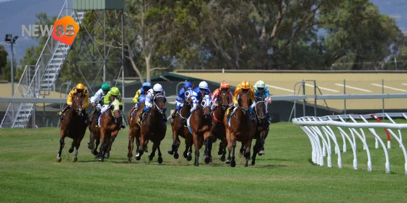 Nâng cao kỹ năng dự đoán kết quả