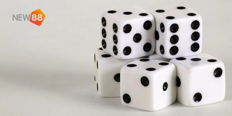 Nội dung này hướng dẫn cách chơi và các loại cược phổ biến trong sicbo.