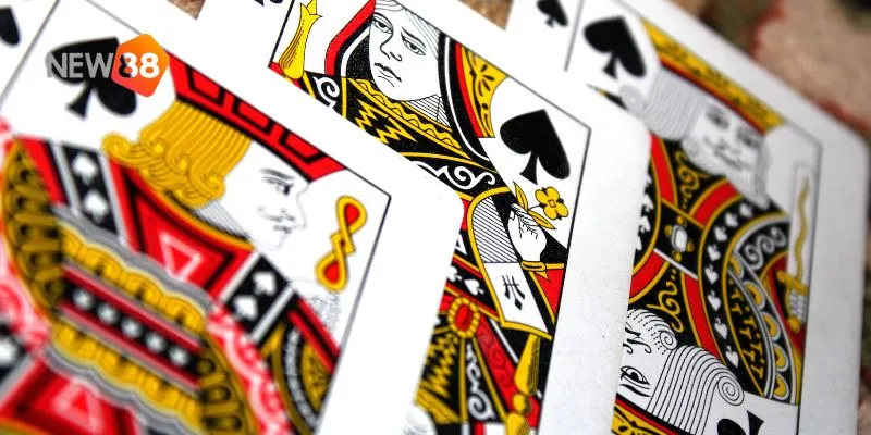 Giao diện và tính năng nổi bật của new88