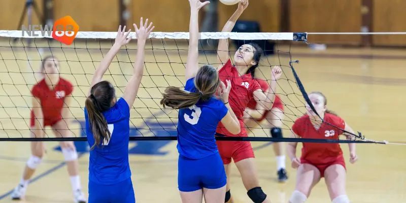 Nghiên cứu đội bóng và giải đấu.