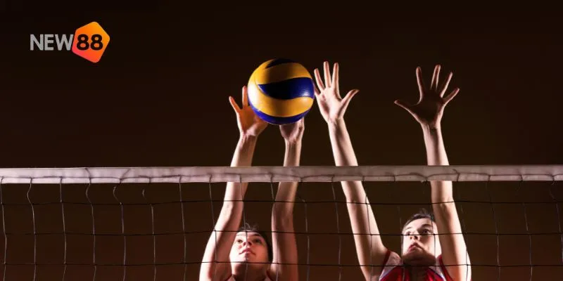 Ưu đãi độc quyền từ NEW88.