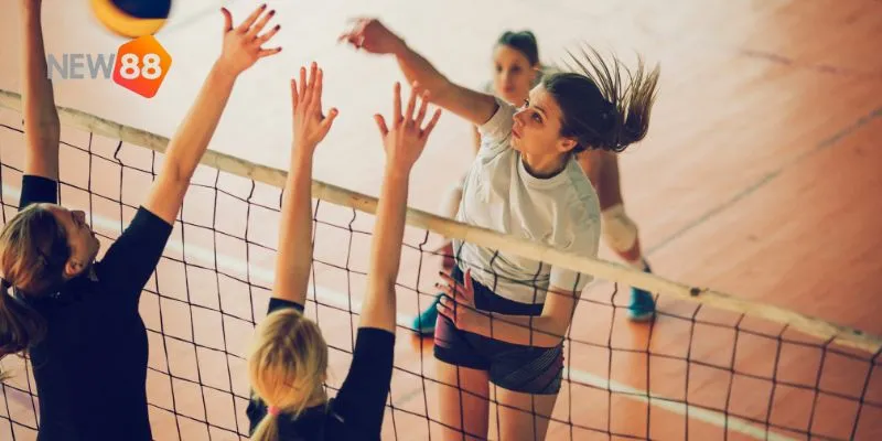 Các loại kèo phổ biến trong bóng chuyền nữ.