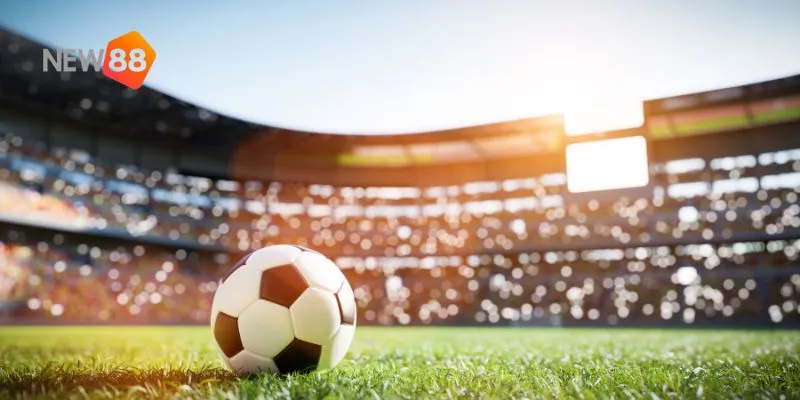 Toàn bộ thông tin về phong độ và đội hình của các đội tuyển đều được cập nhật chi tiết