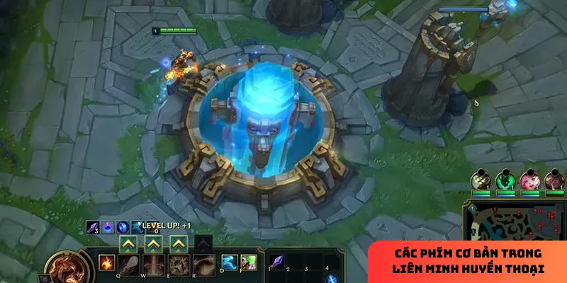 Tùy chỉnh theo cách bạn muốn