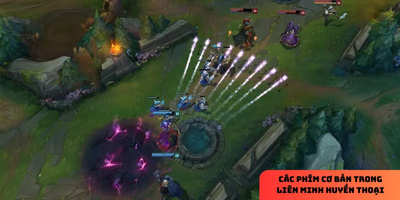 Học cách điều khiển cơ bản