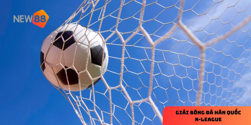 Cơ hội lớn luôn chờ đợi người chơi tại mỗi trận đấu.