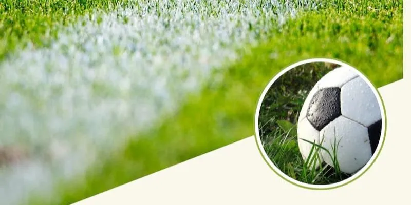 Đặc điểm nổi bật và cách đọc kèo cần nắm