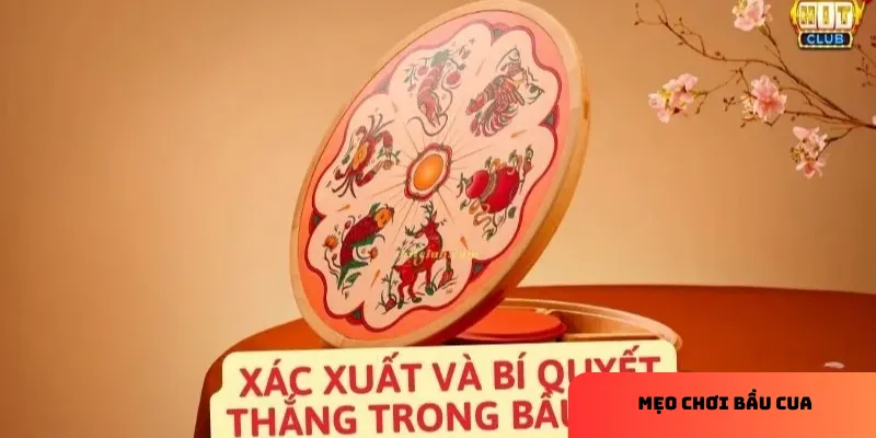 Phân tích kết quả trước giúp dự đoán chính xác hơn.