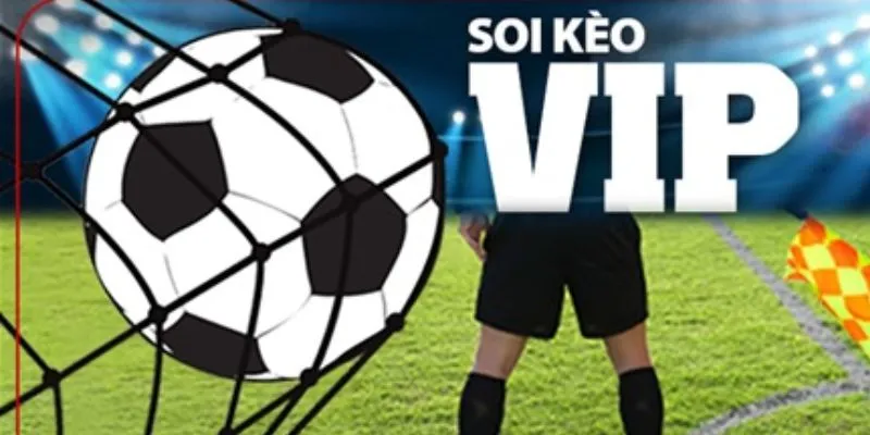 Các cách soi kèo bóng cực chuẩn