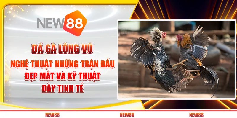 Đá gà lông vũ nghệ thuật: Những trận đấu đẹp mắt và kỹ thuật đầy tinh tế