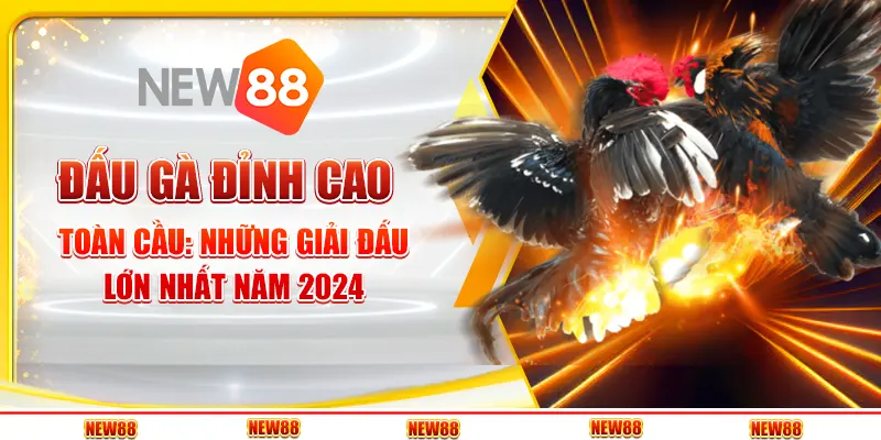 Đấu gà đỉnh cao toàn cầu: Những giải đấu không thể bỏ lỡ