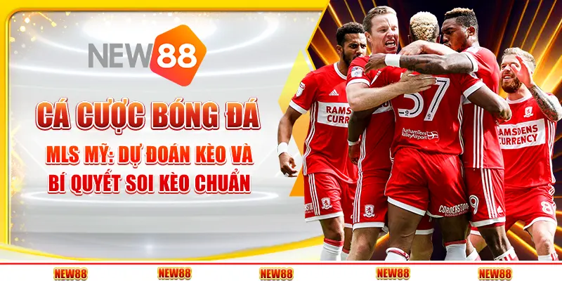 Cá cược bóng đá MLS Mỹ: Dự đoán kèo và bí quyết soi kèo chuẩn