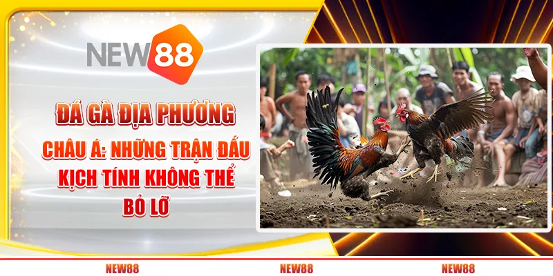 Đá gà địa phương châu Á: Những trận đấu kịch tính không thể bỏ lỡ