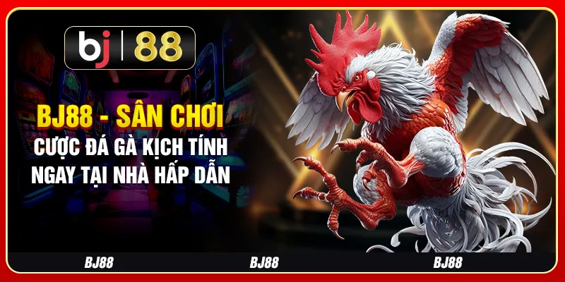 BJ88 - Sân Chơi Cược Đá Gà Kịch Tính Ngay Tại Nhà Hấp Dẫn