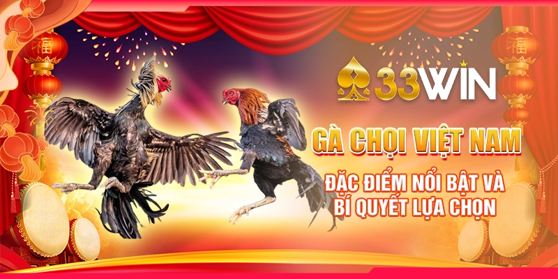 Gà Chọi Việt Nam – Đặc Điểm Nổi Bật Và Bí Quyết Lựa Chọn