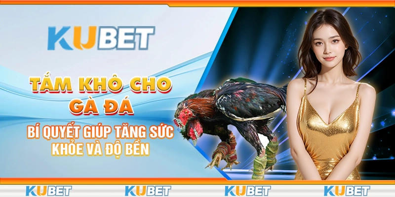 Tắm Khô Cho Gà Đá: Bí Quyết Giúp Tăng Sức Khỏe Và Độ Bền