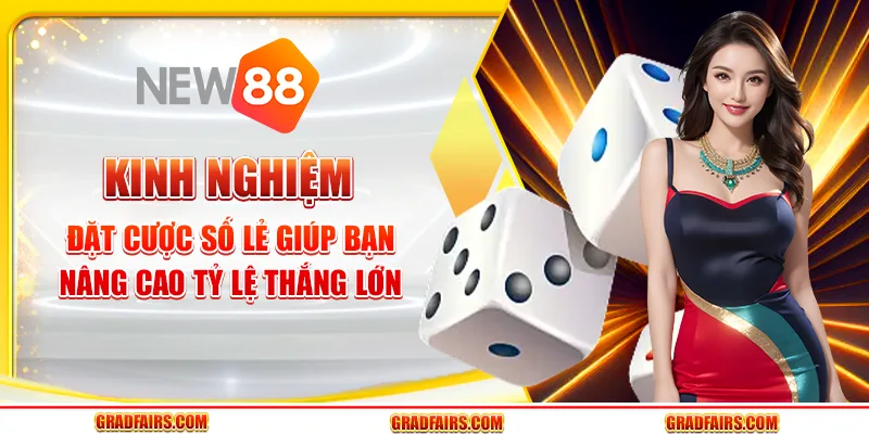 Kinh nghiệm đặt cược số lẻ giúp bạn nâng cao tỷ lệ thắng lớn