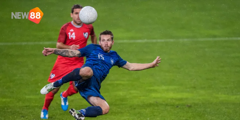 Bayern Munich tiếp tục bổ sung những tân binh chất lượng.